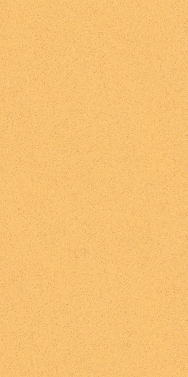 Versatile tile suitable for bedroom, kitchen, bathroom, and outdoor spaces, offering a blend of style and durability for any interior design